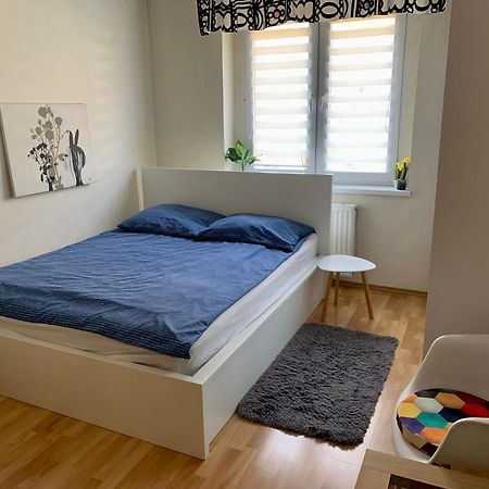 Apartament Joanna Parter Blisko Onkologii I Strefy Ekonomicznej Gliwice Luaran gambar